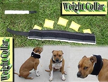 dog neck weights