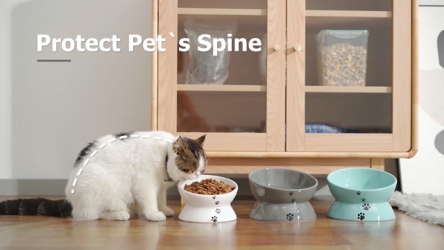 Y YHY Cat Bowl Anti Vomiting, Raised Cat Food Bowls, Tilted Elevated Cat Bowl, Ceramic Pet Food Bowl for Flat Faced Cats… - Image 8