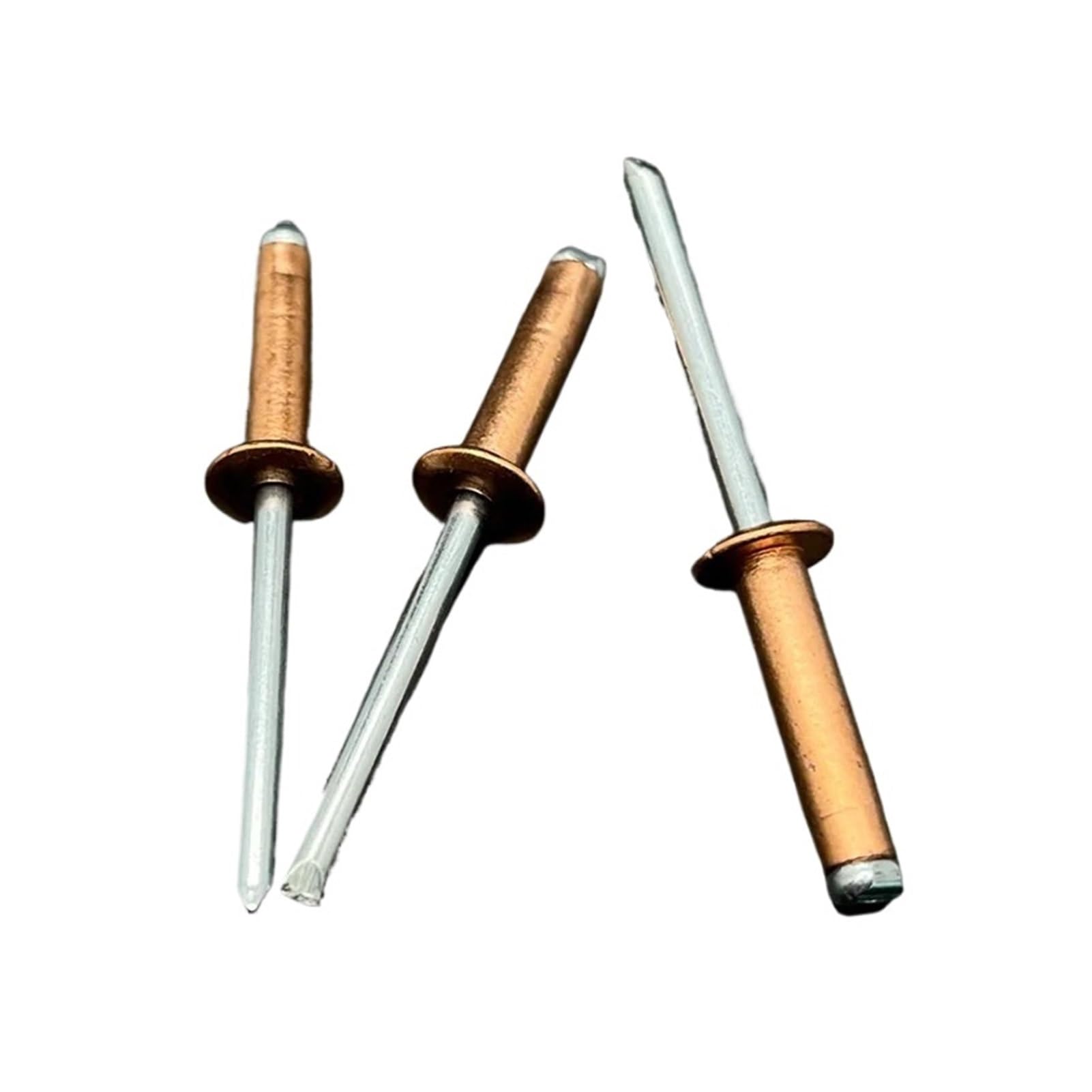 Blindniet 30/50 Stück Kupferblindnieten, offener Typ mit Kuppelkopf, korrosionsbeständige Bronze-Messingnieten(50Pcs,4.8x20 mm)
