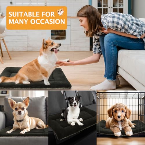 PET SPPTIES Hundebett Weiches und Warmes Matten Hundekissen Waschbarn kuschelig Umkehrbar Haustier Sofakissen PS085 (61X 41 cm, Dark Green)