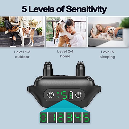 Collare Antiabbaio per Cani, Impermeabile