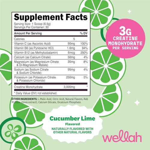 Image of Wellah Creatine + Electrolytes Powder (Cucumber Lime) 30 Servings - Hydration Drink Mix with 3g of Creatine Monohydrate