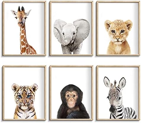 Set of 6 Baby Safari Nursery Wall Decor - Picture Cute Animal Wall Prints on Canvas, under 20 dollars gifts for Baby Boys and Girls Room, UNFRAMED Wall Art(8 x 10 inch)