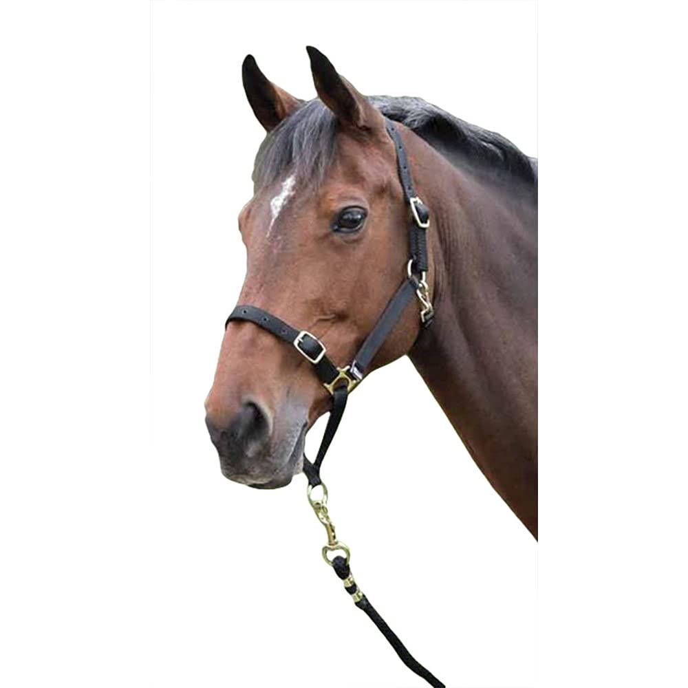 Shires Control Headcollar - Black Full