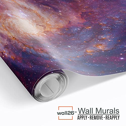 Wall26 Elephant And Dog Looking At Raining Stars Wallpaper - Removable Wall Mural | Self-Adhesive Large Wall Mural - 100X144 In. #TOP3