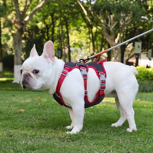 Amexo Mehrzweck-Hundegeschirr mit Leine Set, Reflektierendes Hundegeschirr, Ausbruchsicher Anti Zug Hundegeschirr, Sicherheitsgeschirr Hund, Hundegeschirr Hunde für Kleine Mittelgroße Hunde(Schwarz,M)