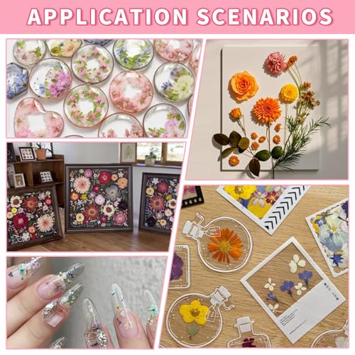 Kit de flores prensadas naturales secas para manualidades miniatura 4