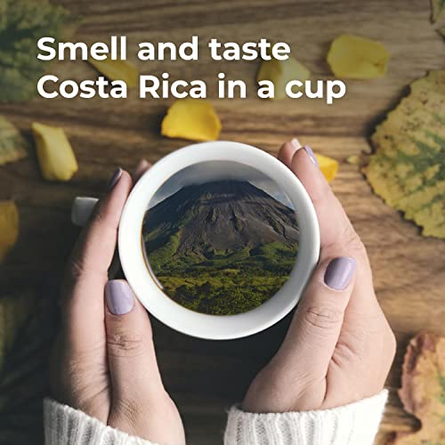 Coffee From Costa Rica Medium Roast Ground - 100% Arabica Beans - By Liquid Gold - 1 Bag (12Oz) - Locally Sourced Coffee #TOP5