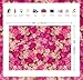 Pink Red Rose Wall Background Spring Party Tea Party Flowers Photography Backdrop Girls Princess Birthday Baby Shower Wedding Valentine's Day Cake Table Decoration Banner (9x6FT(108x72 inch))