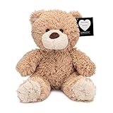 Inventiv Teddy Bear with Pouch, Easily Insert a Recordable Sound Module (Sold Separately), Plush Toy Stuffed Animal (Teddy Bear w/Pouch)