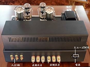Amazon.co.jp: PSVANE300B-SE+845 6球最高級ステレオ真空管