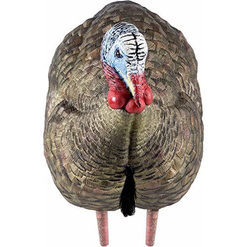 Avian-X Lcd Half-Strut Jake Turkey Decoy | Durable Realistic Lifelike Collapsible Standing Hunting Decoy With Carry Bag & Stake, Avx8012 #TOP4
