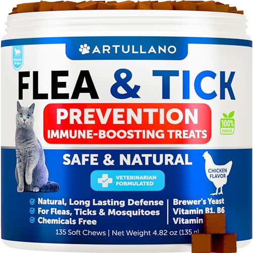 Top 10 Natural Dewormer For Cats of 2022 - Katynel