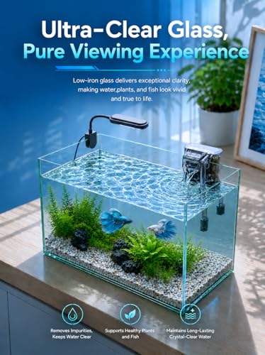 Image of 5-Gallon Ultra-Clear Glass Fish Tank Starter Kit, LED Light, Reusable 3-Stage Filter, Lid, Easy Maintenance Rimless Aquarium for Betta and Small Fish