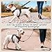 PHOEPET No Pull Hundegeschirr Verstellbares Hundewestengeschirr für den täglichen Spaziergang mit Schnalle am Hals und reflektierenden Streifen, Kontrollgriff für mittlere und große Hunde(Rot,XL)
