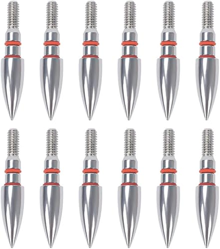 Alinbehbs Field Points Arrowheads 100 Grain Field Points, Stainless Steel Archery Field Points, Screw in Archery Field Points Tips (1 Dozen 12PCS)