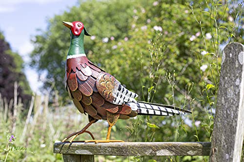 La Hacienda Fagiano Regale