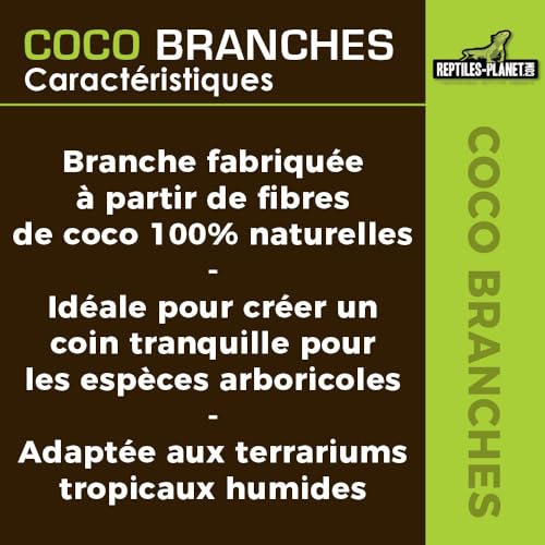 Reptiles Planet Liane aus Kokosfaser für Reptilien/Amphibien, Kokoszweige, 40 cm