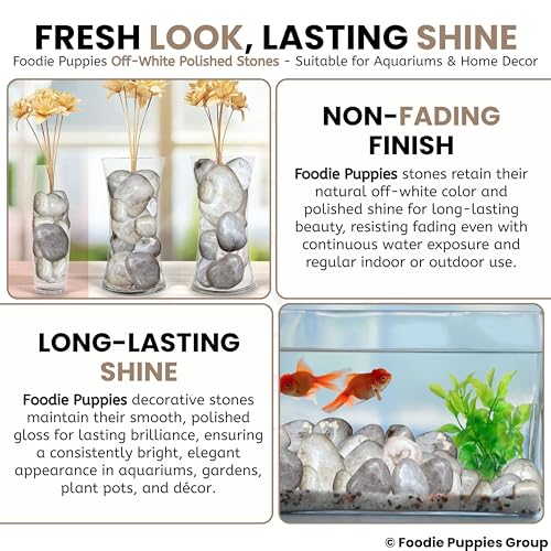 Image of Foodie Puppies 1Kg Off-White Polished Decorative Stones - (2.5cm - 4cm) Dull Finish Pebbles for Aquarium, Fish Bowl, Turtle Tank, Terrarium, Succulents, Garden Pot, Bamboo Plant & Home Decor Stones