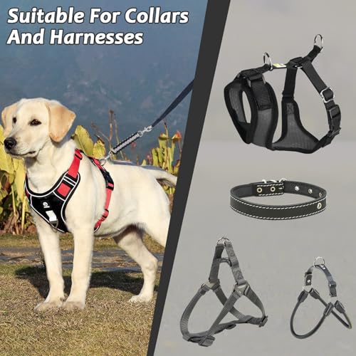 NiCola Hundehalsband-Sicherheitsclip, 2 Stück, Sicherheitsgurt für Hundegeschirr, Sicherheitsclips für Hundehalsband und Geschirrverbindung (2 Stück, Schwarz / Grau)