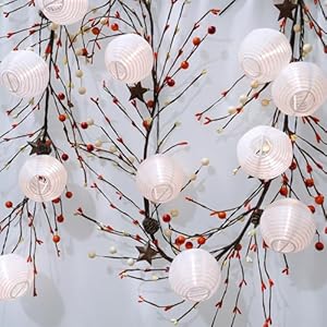 Winlyn 5 Ft Artificial Berry and Rusty Metal Star Garland Harvest Orange and Cream Primitive Pip Berry Pinecone Fall Country Garland for Farmhouse Autumn Wedding Thanksgiving Mantel Table Centerpiece Winlyn 5 Ft Artificial Berry and Rusty Metal Star Garland Harvest Orange and Cream Primitive Pip Berry Pinecone Fall Country Garland for Farmhouse Autumn Wedding Thanksgiving Mantel Table Centerpiece