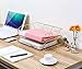 PAG 2 Packs Desktop File Organizer Metal Stackable Horizontal Letter Tray Paper Holder Rack, Gold