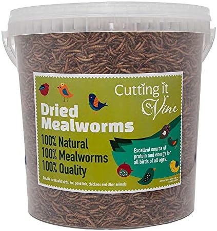 Meal Worms (1kg Bag) - Dried Mealworms for Birds, The Ultimate Bird Food, High Protein Mealworms for Wild Garden Birds - Cutting it Vine
