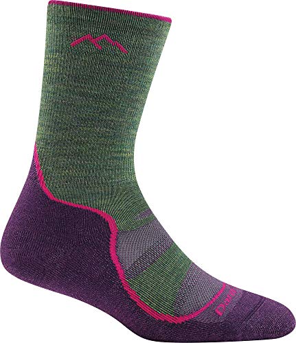Image of Darn Tough Women's Light Hiker Micro Crew Lightweight with Cushion Sock (Style 1967)
