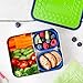 LunchBots Lite Bento Box Lunch Bundle – Includes Two Bento Boxes - One Section and Three Section Stainless Steel Containers and Silicone Cups - Eco-Friendly, Dishwasher Safe, BPA-Free - Green