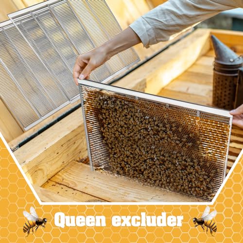 6-Pcs-Metal-Queen-Excluder-for-10-Frame-Hive-Metal-Queen-Beekeeping-Separates-Queen-Bees-from-Honey-Beekeeping-Tools-Beekeeping-Supplies-2008-x-1614-Inch