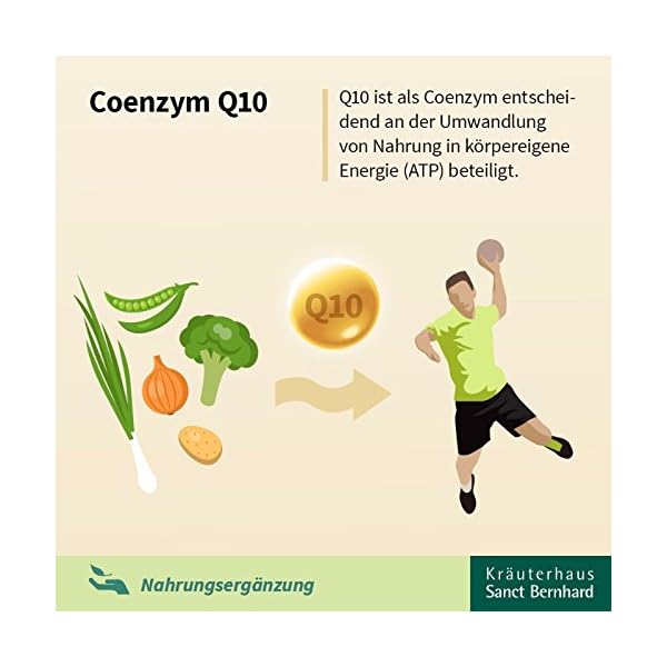 Q10-Zellfit 100 mg TrinkflÃ¤schchen mit Coenzym Q10, Selen, L-Carnitin 600 ml – Bild 5