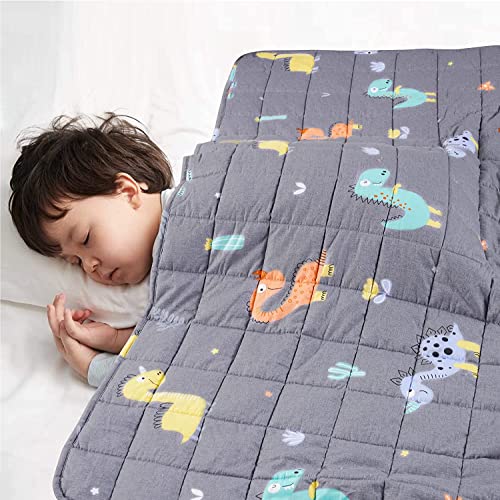 RECYCO Kinder Gewichtsdecke Dinosaurier 2,3kg 90x120cm Oeko-TEX Schwere Decke aus Baumwolle mit Glasperlen Therapiedecke Schlafhilfe Stressabbau für Kinder und Jugendliche Cover
