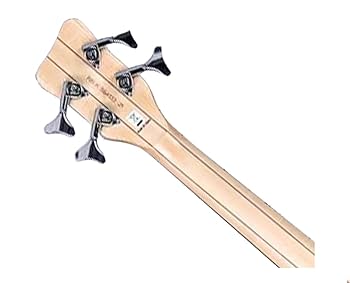 Amazon.com: Warwick RockBass Streamer LX Bass Guitar