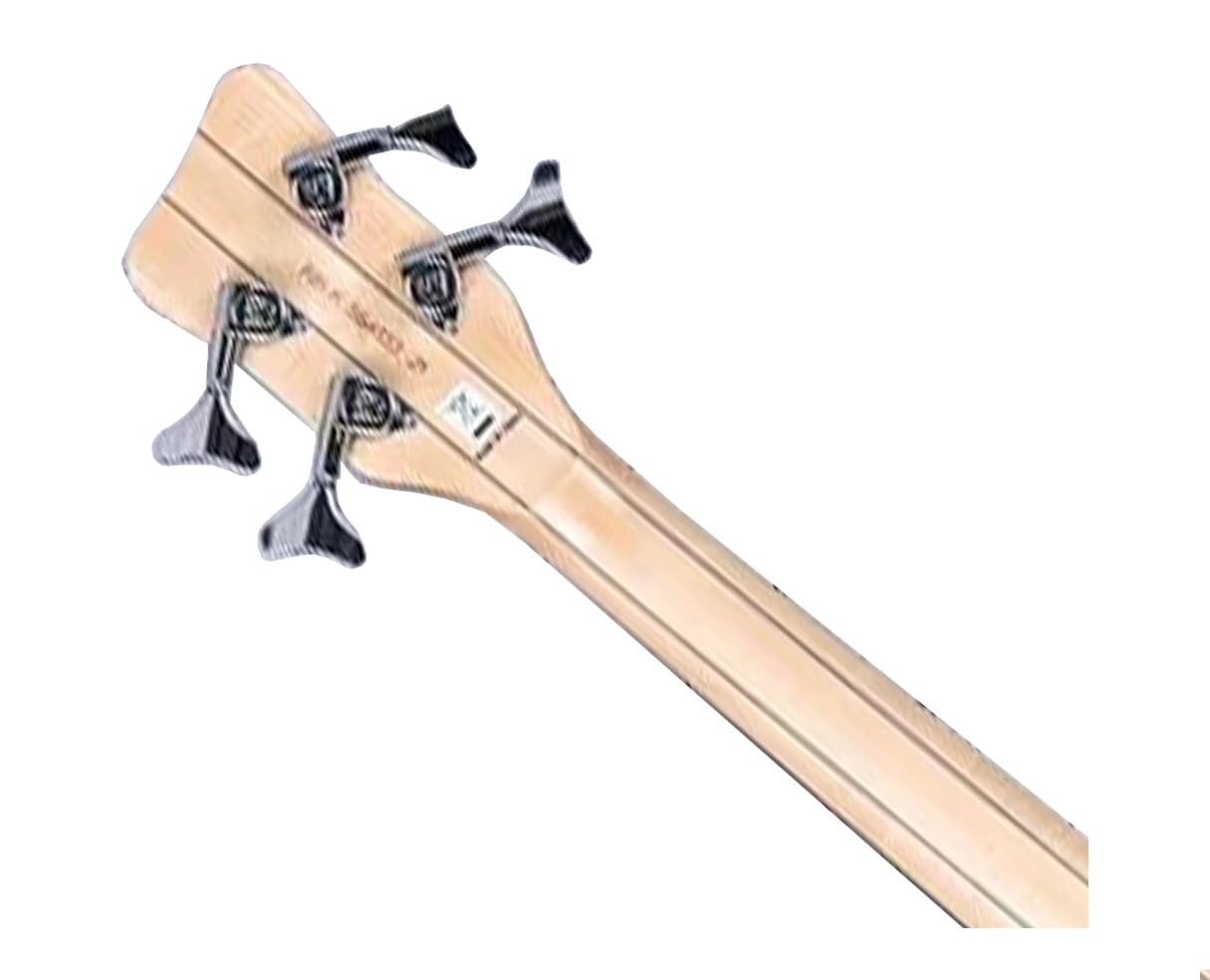 Amazon.com: Warwick RockBass Streamer LX Bass Guitar