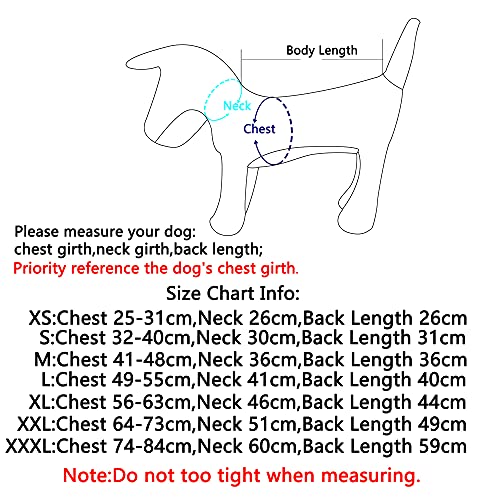 JoyDaog Hundemantel für kleine Hunde, wendbar, wasserdicht, warme Welpenjacke für den kalten Winter, Rosa und Grau, Größe XS