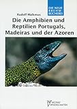 Spektrum Akademischer Verlag