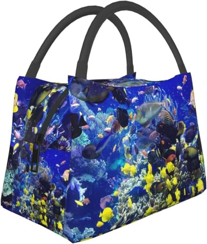 Jtȋ ۉobO t@Xi[tʋΗpۗobO