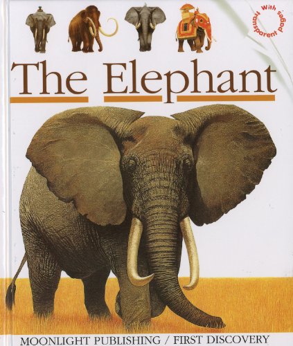 The Elephant: No. 17