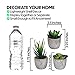 Set of 3 Succulents Plants Artificial Small Fake Plants Bedroom Aesthetic, Potted Fake Succulent Office Desk Decor, Faux Succulents in Pots Fake Plant Decor Cactus Decorations Mini Fake Plants Office