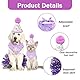 KASESSS 3 Stück Hunde Geburtstag Hut Bandana Set, Hundegeburtstagspartyzubehör, Einstellbar Hundegeburtstagspartyhut, Niedliche Spitze Haustier Glitzerndes Kleid für Kleine Mittlere Hunde, Lila