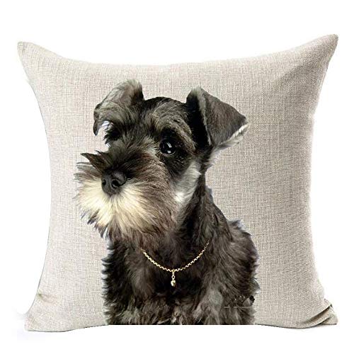 Best Gift Painting Cute Lovely Animals Pet Dog Big Eyes Black Schnauzer Cotton Linen Square Throw Waist Pillow Case Decorative Cushion Cover Pillowcase Sofa 18