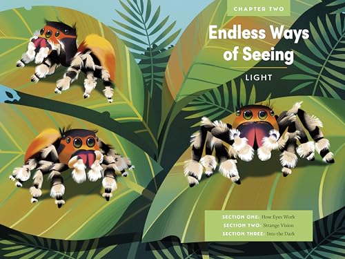 An Immense World (Young Readers Edition): How Animals Sense Earth's Amazing Secrets - Image 3