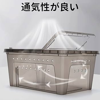Amazon | 虫かご 飼育ケース 爬虫類 ケージ プラケース 透明