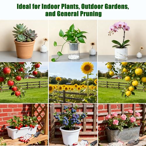 Set de 5 Tijeras de Poda para Jardín con Guantes y Bolsa miniatura 6