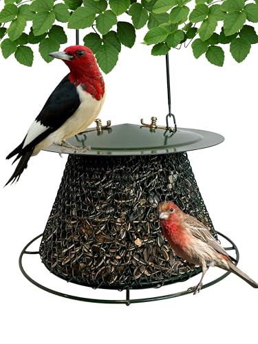 Backyard Essentials Green Collapsible Mesh Bird Feeder, Hanging Bird Feeder Holds 1 Pound of Sunflower Seeds