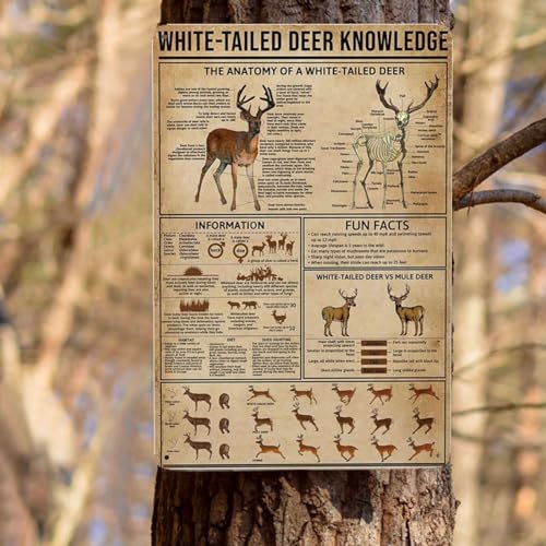 Nbike Metal Tin Signs White-Tailed Deer Knowledge Hunting Knowledge Poster Unplaning Infographics Farmhouse Farm Home Kitchen Club Wall 16X12 Inch Metal Sign Decor thumb #7