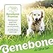 Benebone Small 4-Pack Dog Chew Toys for Aggressive Chewers, Made in USA, 30lbs and Under
