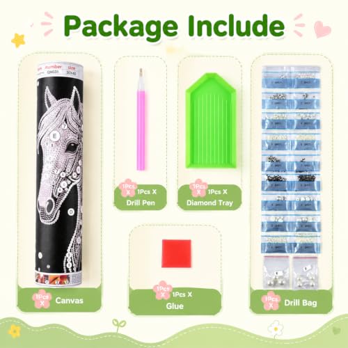 Image of HASTHIP 5D Diamond Art Kit Special Shape Pearl Painting Horse 12x16 Inch