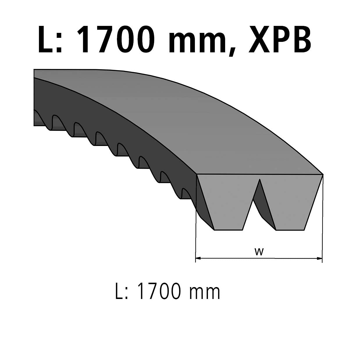 DT Spare Parts 4.80678 Juego de correas trapezoidales