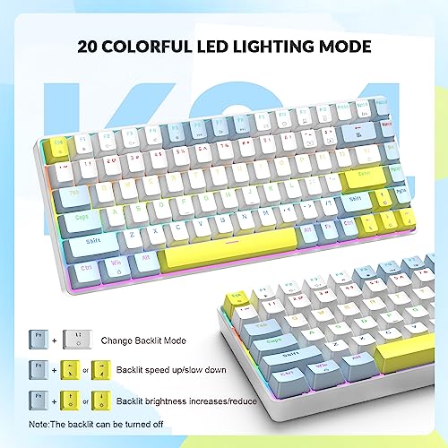 Teclado Mecánico RK-84 Compacto USB-C RGB miniatura 5